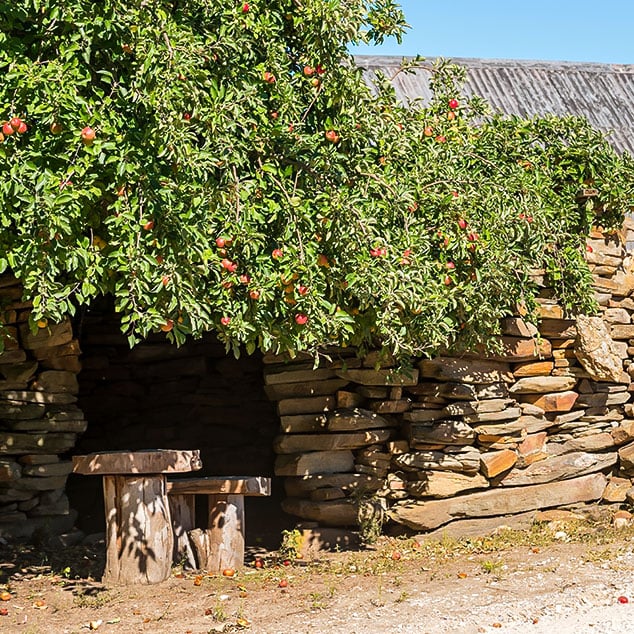 Stone Hut in the Pewsey Vale Contours Vineyard